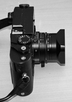 Leica M7, loupe 1.25x, 50mm Summarit-M 2.5/50 l:232, h:325