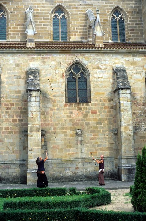 Souvigny (03) 7 août 2009 #5465