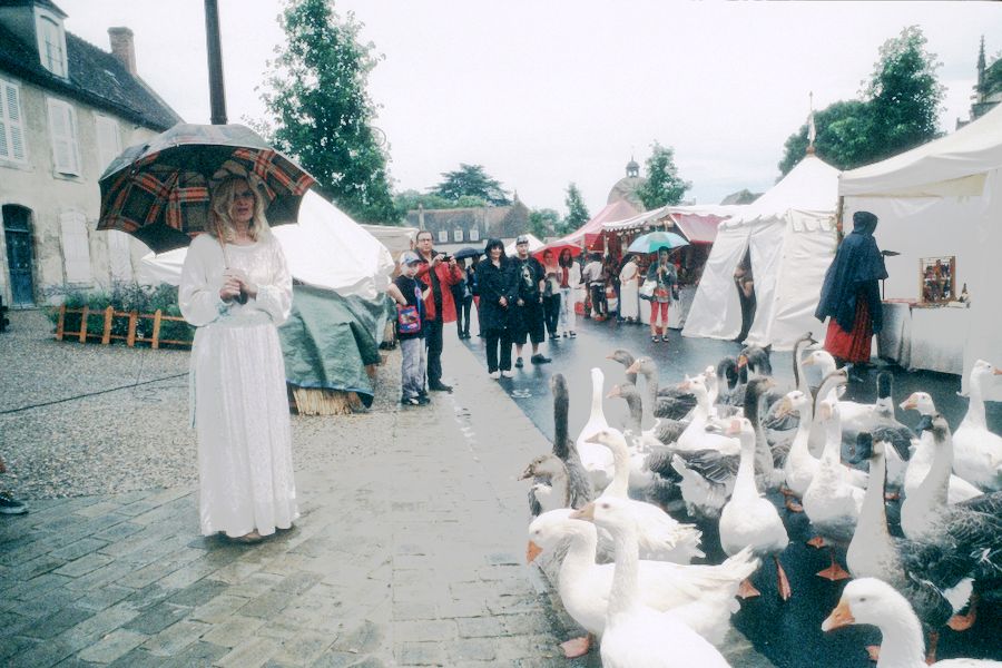 Souvigny (03) 9 août 2014 #6270